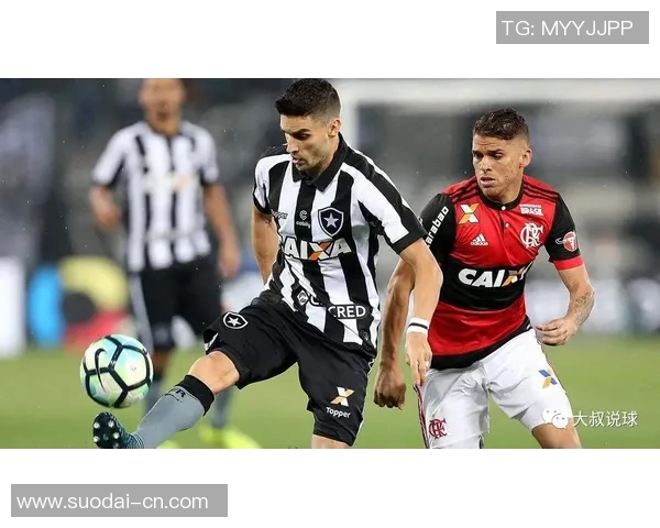 累西腓与塞阿拉的激烈对决揭示巴西足球的魅力与竞争之心