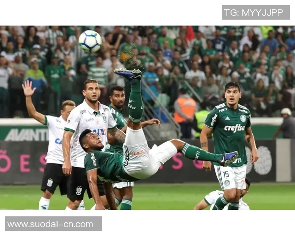 塞阿拉与帕梅拉斯比赛前瞻分析及双方近期状态对比